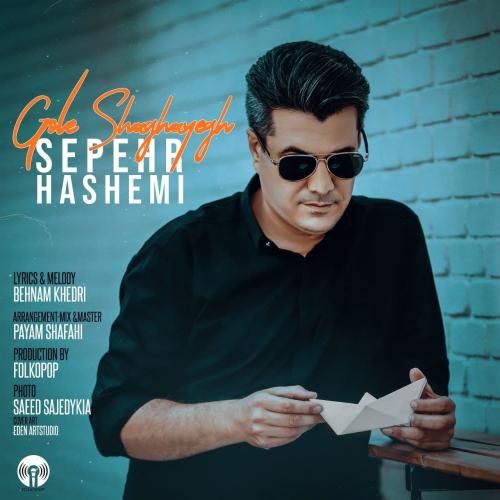 سپهر هاشمی گل شقایق